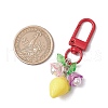 Fruit Resin & Acrylic Pendant Decorations HJEW-JM02987-5