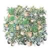 100Pcs Story of Four Seasons PET Stickers Self-Adhesive Stickers DIY-K074-06B-2