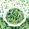 Glass Seed Beads SEED-N007-13E-2