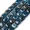 Natural Apatite Beads Strands G-Q026-C01-01-1