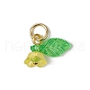 36Pcs Frosted Acrylic Flower & Leaf Charms PALLOY-JF03552-5