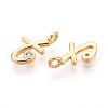 Brass Micro Pave Cubic Zirconia Charms KK-N263-97G-T-2