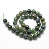 Natural Moss Agate Beads Strands X-G-D840-25-8mm-2