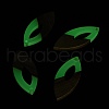Luminous Glow in the Dark Wood & Resin Pendant WOOD-H104-06-4