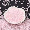 6/0 Glass Seed Beads SEED-T006-04F-11-2