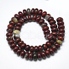 Natural Red Rainbow Jasper Beads Strands G-T122-02I-2