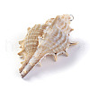 Spiral Shell Pendants BSHE-G019-04P-2