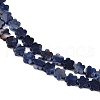 Natural Sodalite Beads Strands G-B138-C12-01-4