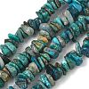 Natural Chrysocolla Chip Beads Strands G-P578-A01-01-2