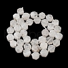 Natural Rainbow Moonstone Beads Strands G-P534-A06-02-3