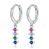 S925 Sterling Silver Hoop Earrings RL0741-14-1