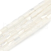 Natural Freshwater Shell Beads Strands BSHE-H109-16-1