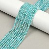Natural Amazonite Beads Strands G-P572-B04-A-1
