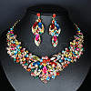 Flower Alloy Glass Rhinestone Pendant Necklace & Stud Dangle Earring Sets FS-WG74144-04-1
