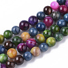 Freshwater Shell Beads Strands X-SHEL-T013-003-1