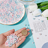 SUNNYCLUE 2 Sets Plastic Beads KY-SC0002-24F-3