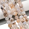 Natural Dendritic Agate Beads Strands G-A248-A07-05-1