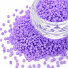 13/0 Glass Seed Beads SEED-T005-14A-A17-1
