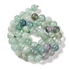 Natural Fluorite Beads Strands G-P530-B04-03-4