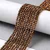 Electroplate Glass Beads Strands GLAA-H021-01A-FP01-3
