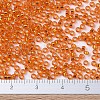 MIYUKI Round Rocailles Beads SEED-G007-RR0009-4