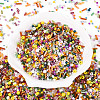 Electroplate Glass Seed Beads GLAA-SZC0007-02C-1