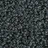 MIYUKI Round Rocailles Beads X-SEED-G009-RR0152F-2