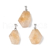 Natural Mixed Stone Pendants G-F739-02P-2