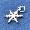 925 Sterling Silver Pendants STER-Q003-01B-S-2