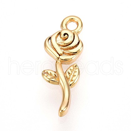 Brass Pendants KK-T075-13G-1