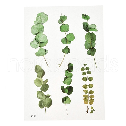 Waterproof Plastic Self Adhesive Stickers DIY-F064-13C-1