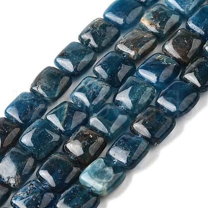 Natural Apatite Beads Strands G-Q026-C01-01-1