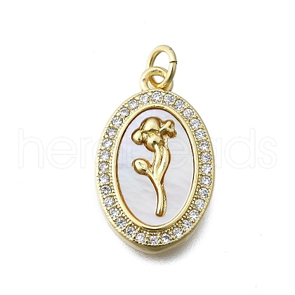 Brass Micro Pave Clear Cubic Zirconia Pendants KK-V010-26G-1