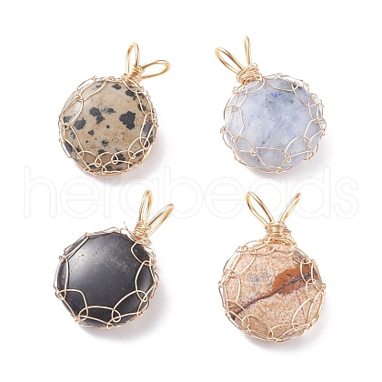 Natural Gemstone Pendants PALLOY-JF01420-1