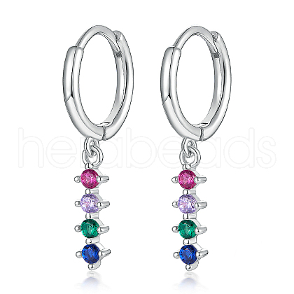 S925 Sterling Silver Hoop Earrings RL0741-14-1