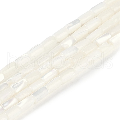 Natural Freshwater Shell Beads Strands BSHE-H109-16-1