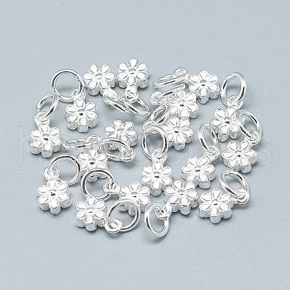 925 Sterling Silver Charms STER-T002-104S-1
