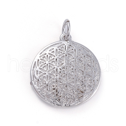 Brass Pendants ZIRC-E164-53P-1