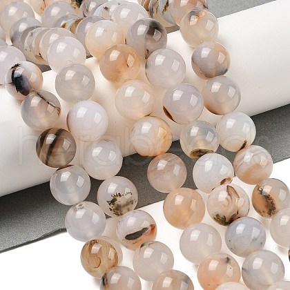 Natural Dendritic Agate Beads Strands G-A248-A07-05-1