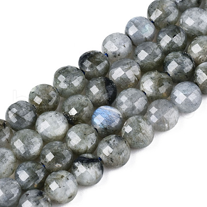 Natural Labradorite Beads Strands G-S354-24-A-1