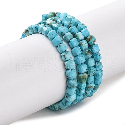 Natural Howlite Beads Strands G-H025-04B-1