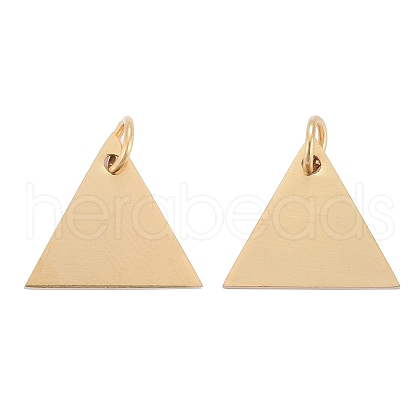 304 Stainless Steel Stamping Blank Tag Charms STAS-I311-29G-1
