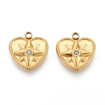 304 Stainless Steel Charms STAS-N109-176G-1