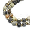 Natural Picasso Jasper Beads Strands G-I376-D64-01-3