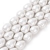 Shell Pearl Beads Strands BSHE-F013-11A-1