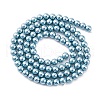 Shell Pearl Beads Strands BSHE-K015-4mm-02-4