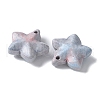 Natural Rainbow Alashan Agate Charms G-G194-02G-2
