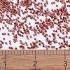 MIYUKI Delica Beads X-SEED-J020-DB0601-4