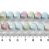 Natural Rainbow Alashan Agate Lantern Beads Strands G-NH0022-B01-02-5