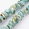 Natural Shell Bead Strands X-BSHE-P010-04-1